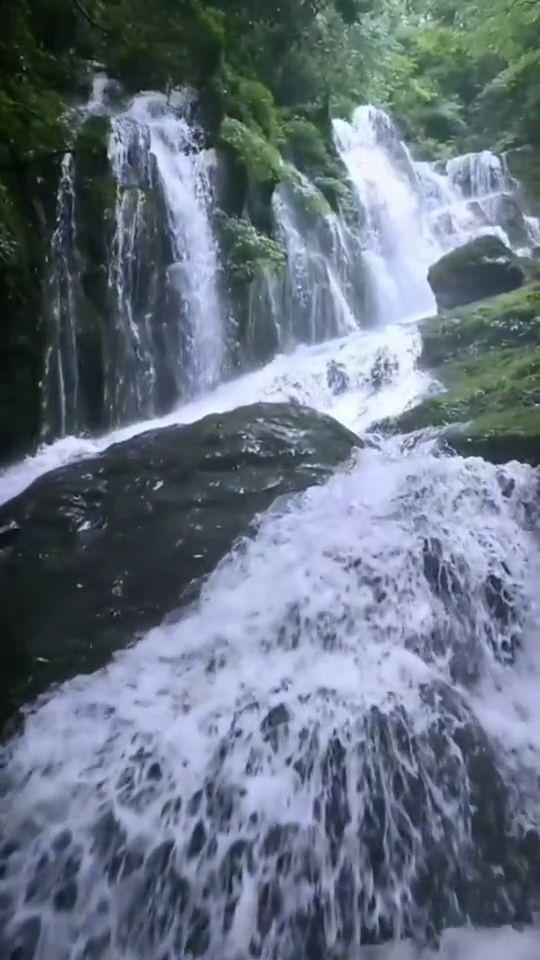 见证者